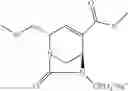 Fig. 305 - β-lactamase inhibitor compounds