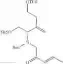 Fig. 337 - β-lactamase inhibitor compounds