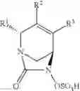 Fig. 356 - β-lactamase inhibitor compounds