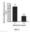 Fig. 06 - Supression of IgE production by compounds derived from traditional chinese medicine