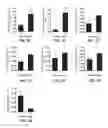 Fig. 08 - Supression of IgE production by compounds derived from traditional chinese medicine