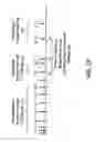 Fig. 11 - Supression of IgE production by compounds derived from traditional chinese medicine