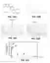 Fig. 20 - Supression of IgE production by compounds derived from traditional chinese medicine
