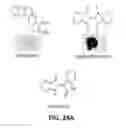 Fig. 29 - Supression of IgE production by compounds derived from traditional chinese medicine