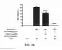 Fig. 33 - Supression of IgE production by compounds derived from traditional chinese medicine