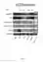 Fig. 06 - PIM KINASE INHIBITOR COMBINATIONS