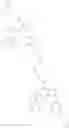 Fig. 16 - COMBINATION OF A IMIDAZOPYRIDAZINE DERIVATIVE AND A MITOTIC AGENT FOR THE TREATMENT OF CANCER
