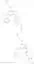 Fig. 29 - COMBINATION OF A IMIDAZOPYRIDAZINE DERIVATIVE AND A MITOTIC AGENT FOR THE TREATMENT OF CANCER
