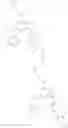 Fig. 33 - COMBINATION OF A IMIDAZOPYRIDAZINE DERIVATIVE AND A MITOTIC AGENT FOR THE TREATMENT OF CANCER