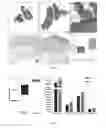 Fig. 08 - THERAPEUTIC AGENTS FOR MODULATING THYMIC FUNCTION AND/OR GROWTH AND/OR TREATING VARIOUS DISORDERS