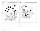 Fig. 10 - THERAPEUTIC AGENTS FOR MODULATING THYMIC FUNCTION AND/OR GROWTH AND/OR TREATING VARIOUS DISORDERS