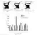 Fig. 15 - THERAPEUTIC AGENTS FOR MODULATING THYMIC FUNCTION AND/OR GROWTH AND/OR TREATING VARIOUS DISORDERS