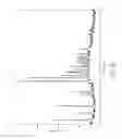 Fig. 24 - Polymorphs of ARRY-380, a selective HER 2 inhibitor and pharmaceutical compositions containing them