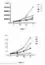 Fig. 07 - Boosting the effect of methotrexate through the combined use with lipophilic statins