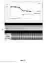 Fig. 17 - Boosting the effect of methotrexate through the combined use with lipophilic statins