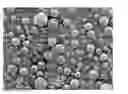 Fig. 01 - ENTECAVIR MICROSPHERES AND PHARMACEUTICAL COMPOSITION FOR PARENTERAL ADMINISTRATION CONTAINING SAME
