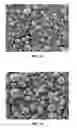 Fig. 02 - ENTECAVIR MICROSPHERES AND PHARMACEUTICAL COMPOSITION FOR PARENTERAL ADMINISTRATION CONTAINING SAME
