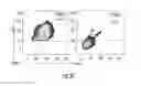 Fig. 15 - Compositions, methods and kits for treating cancer
