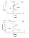 Fig. 17 - Compositions, methods and kits for treating cancer