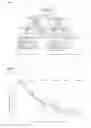 Fig. 10 - TREATMENT OF PAPULOPUSTULAR ROSACEA WITH IVERMECTIN