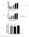 Fig. 28 - METHODS FOR DETECTING AND MODULATING THE SENSITIVITY OF TUMOR CELLS TO ANTI-MITOTIC AGENTS AND FOR MODULATING TUMORIGENICITY