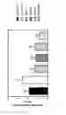Fig. 04 - POLYSACCHARIDE FOR USE IN PREVENTING METASTASIS FORMATION AND/OR RELAPSE