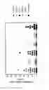 Fig. 05 - POLYSACCHARIDE FOR USE IN PREVENTING METASTASIS FORMATION AND/OR RELAPSE