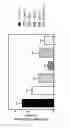 Fig. 08 - POLYSACCHARIDE FOR USE IN PREVENTING METASTASIS FORMATION AND/OR RELAPSE