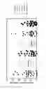 Fig. 11 - POLYSACCHARIDE FOR USE IN PREVENTING METASTASIS FORMATION AND/OR RELAPSE