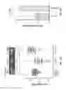 Fig. 21 - Methods for the production of collagen IV