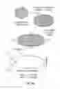 Fig. 34 - Methods for the production of collagen IV