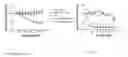 Fig. 08 - METHODS FOR CONTROLLED ACTIVATION OR ELIMINATION OF THERAPEUTIC CELLS