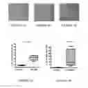 Fig. 03 - TROPHOBLAST DERIVED MICROPARTICLES FOR TREATING ISCHEMIC TISSUE AND WOUNDS