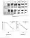 Fig. 09 - TROPHOBLAST DERIVED MICROPARTICLES FOR TREATING ISCHEMIC TISSUE AND WOUNDS