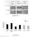 Fig. 12 - TROPHOBLAST DERIVED MICROPARTICLES FOR TREATING ISCHEMIC TISSUE AND WOUNDS