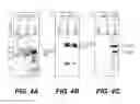 Fig. 05 - Targeting of herpes simplex virus to specific receptors