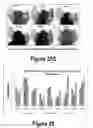 Fig. 18 - Molecular and Herbal Combinations for Treating Psoriasis