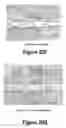 Fig. 22 - Molecular and Herbal Combinations for Treating Psoriasis