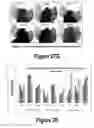 Fig. 18 - Molecular and Herbal Combinations for Treating Psoriasis