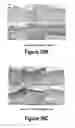 Fig. 20 - Molecular and Herbal Combinations for Treating Psoriasis