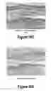 Fig. 21 - Molecular and Herbal Combinations for Treating Psoriasis