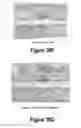 Fig. 22 - Molecular and Herbal Combinations for Treating Psoriasis