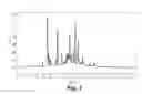 Fig. 03 - Composition for treating diabetes and dyslipidemia obtained from the extract of plant and a method of preparing the same