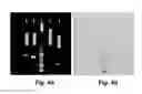 Fig. 05 - Composition for treating diabetes and dyslipidemia obtained from the extract of plant and a method of preparing the same