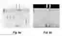 Fig. 07 - Composition for treating diabetes and dyslipidemia obtained from the extract of plant and a method of preparing the same