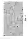 Fig. 14 - Composition for treating diabetes and dyslipidemia obtained from the extract of plant and a method of preparing the same