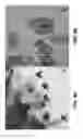 Fig. 04 - ANTIMICROBIAL AND ANTI-INFLAMMATORY ACTIVITY OF SWITCHGRASS-DERIVED EXTRACTIVES