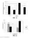 Fig. 09 - ANTIMICROBIAL AND ANTI-INFLAMMATORY ACTIVITY OF SWITCHGRASS-DERIVED EXTRACTIVES