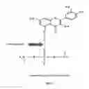 Fig. 03 - FORMULATION AND FUNCTIONALITY OF PHENOLIPIDS FOR NOVEL FOODS AND PHARMACEUTICALS
