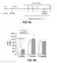 Fig. 08 - CALCIMIMETICS AND METHODS FOR THEIR USE